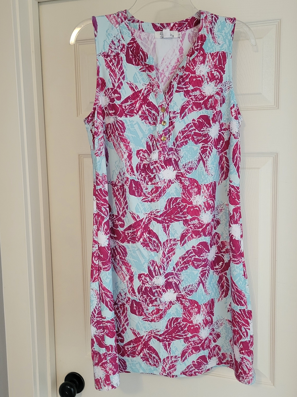 Aryeh Pink Floral Sleeveless Shift Beach Dress with Light Blue Background